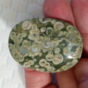 Green Rhyolite Forest Jasper Pendant